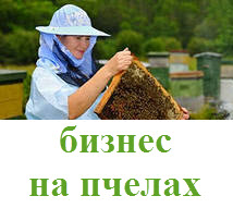 пчеловодство как бизнес
